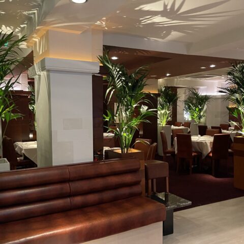 SC Interior7