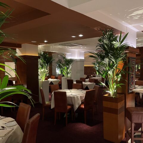Sutton Interior